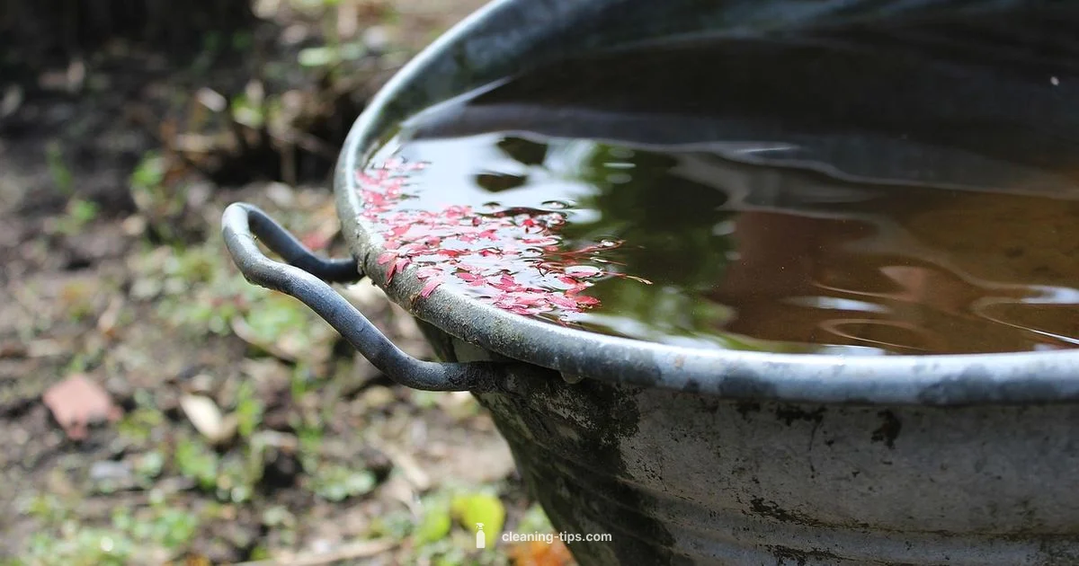 Rainwater Quality Guide - Cleaning Tips