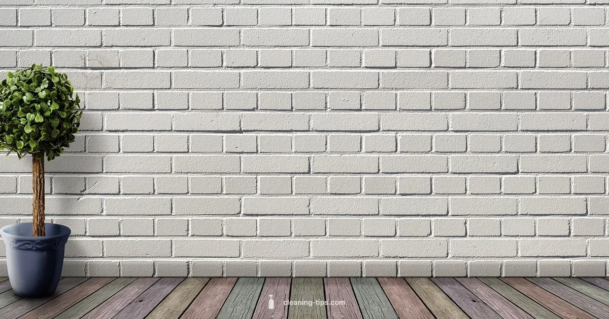 Baseboard Cleaning - Cleaning Tips