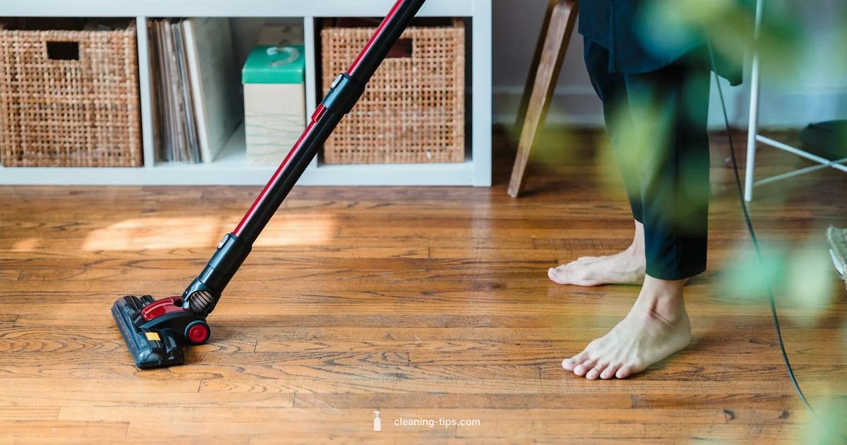 What Clean Means - Cleaning Tips