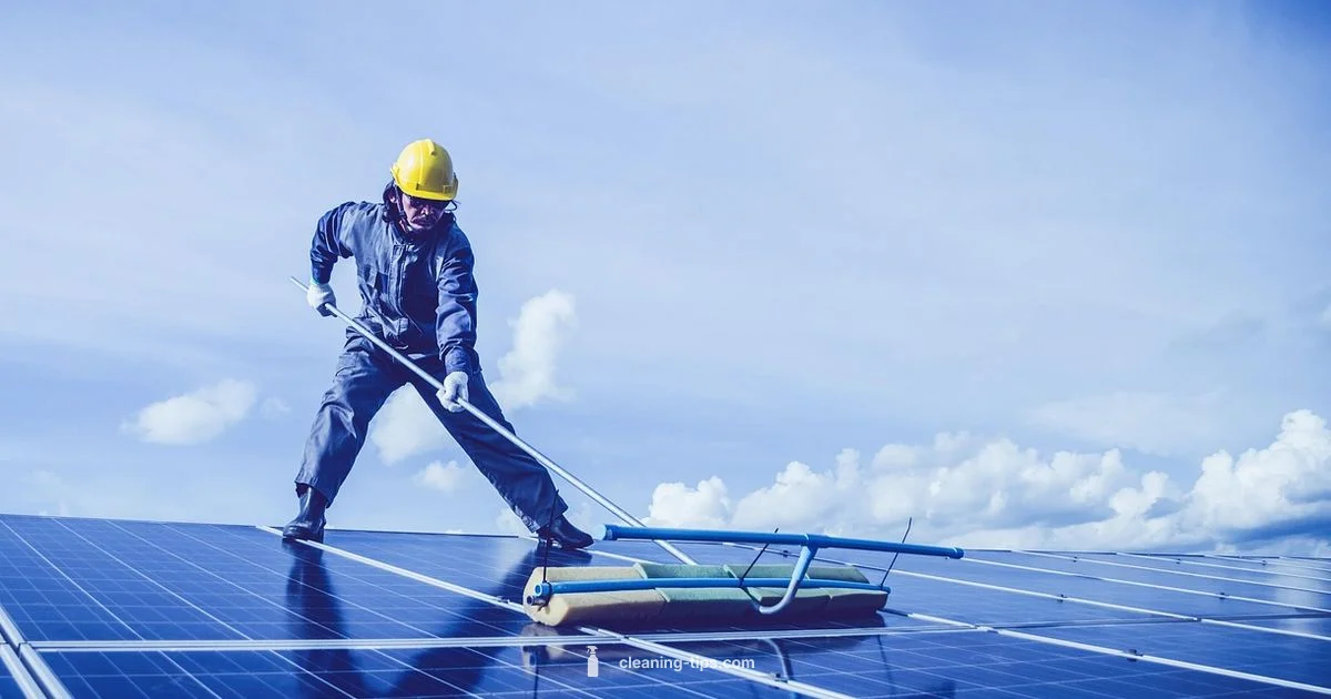 Panel Cleaning Cost Panel Cleaning Cost - Cleaning Tips