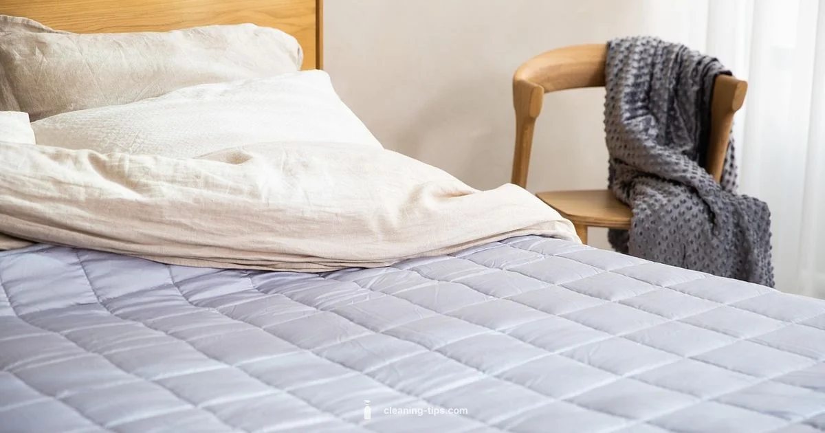 Mattress Urine Guide - Cleaning Tips