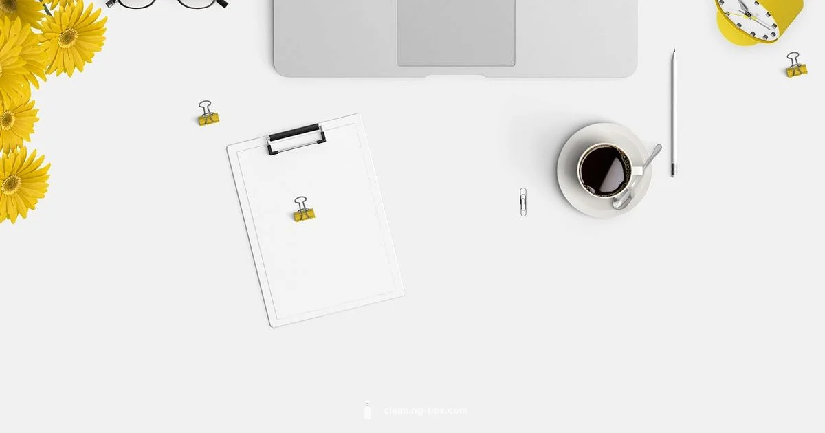 Mailchimp Contact Cleaning Mailchimp Contact Cleaning - Cleaning Tips