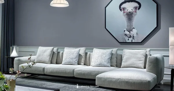 Vacuum Buying Guide - Cleaning Tips