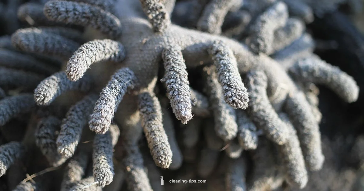 Steam Mop Cleaning - Cleaning Tips