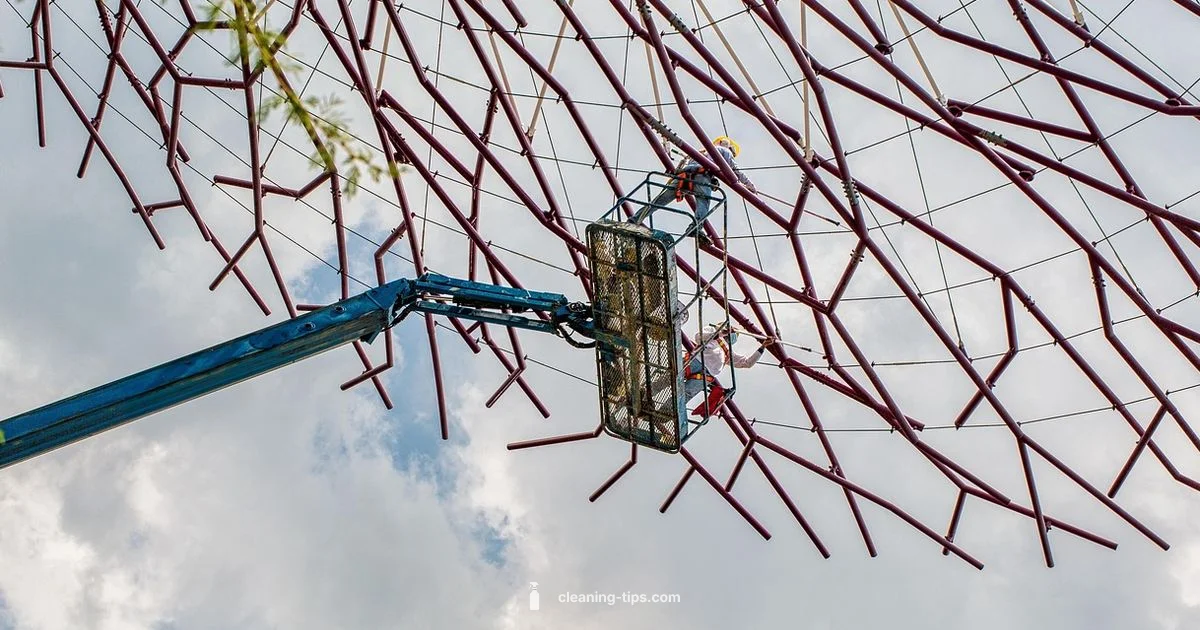 Blue Collar Cleaning Blue Collar Cleaning - Cleaning Tips