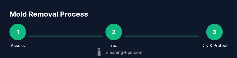 Process infographic showing steps to clean bathroom ceiling mold