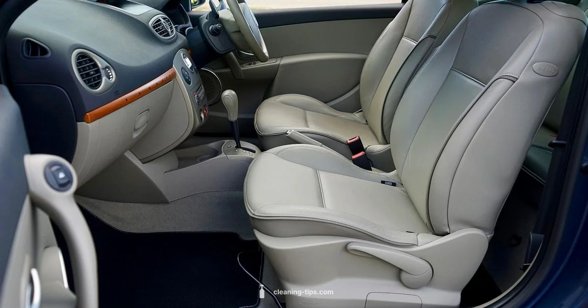 Leather Upholstery Care - Cleaning Tips