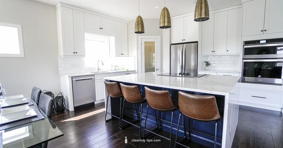 Are You Clean - Cleaning Tips