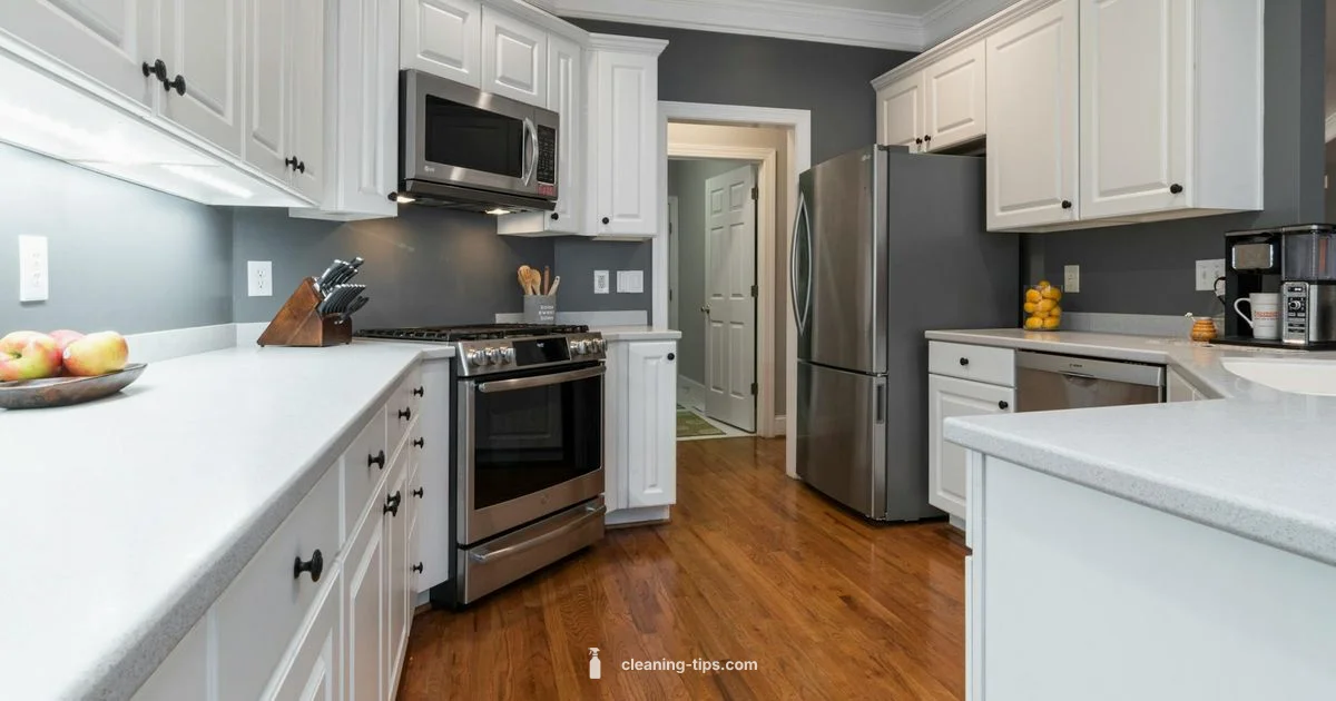 Healthy Home Cleanup - Cleaning Tips