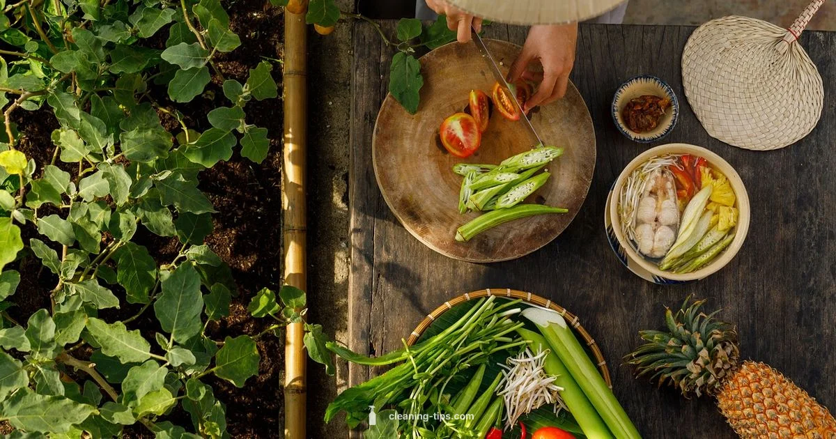 Clean Boss Lady Clean Boss Lady - Cleaning Tips