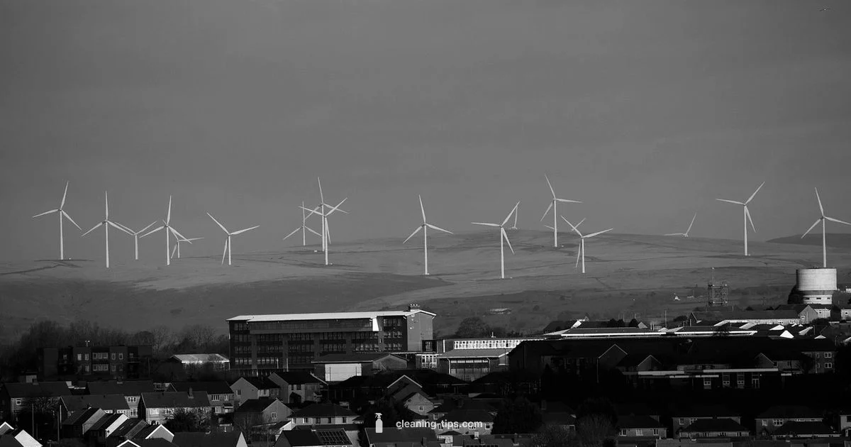 Clean Energy Guide Clean Energy Guide - Cleaning Tips