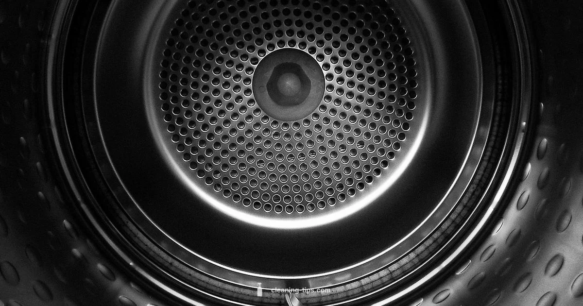 Dryer Vent Cleaning - Cleaning Tips