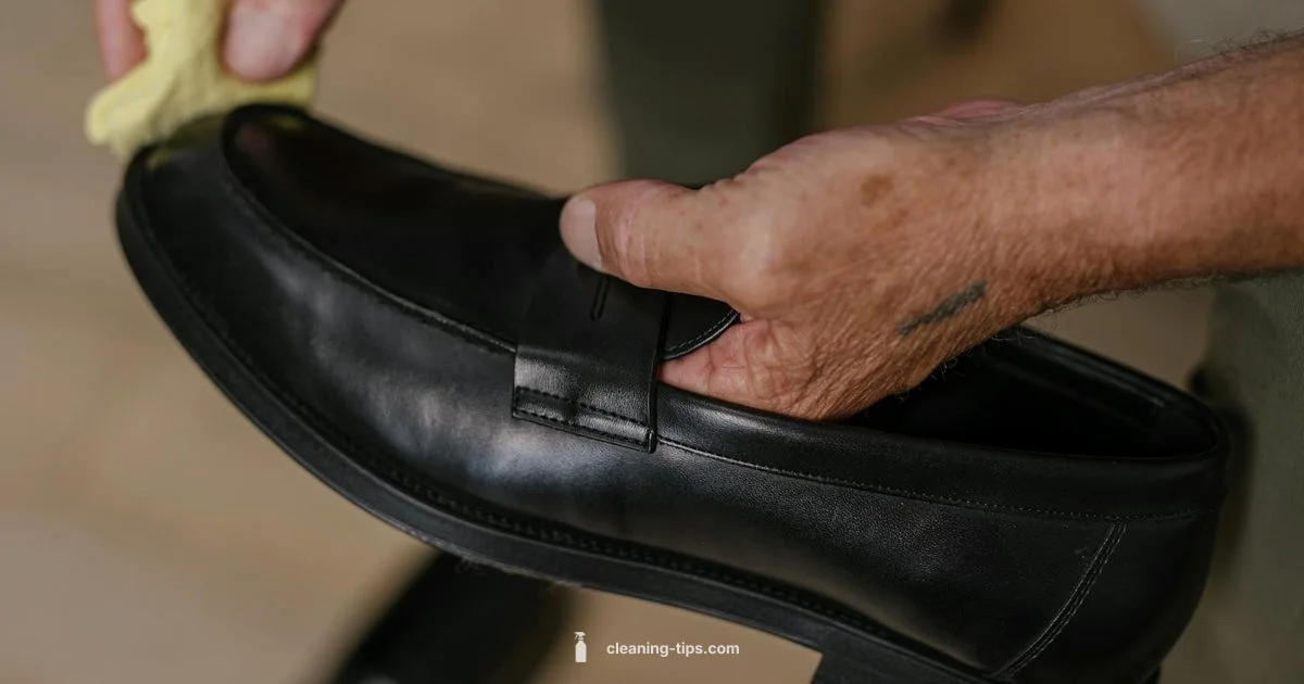 Shine the Shoes - Cleaning Tips