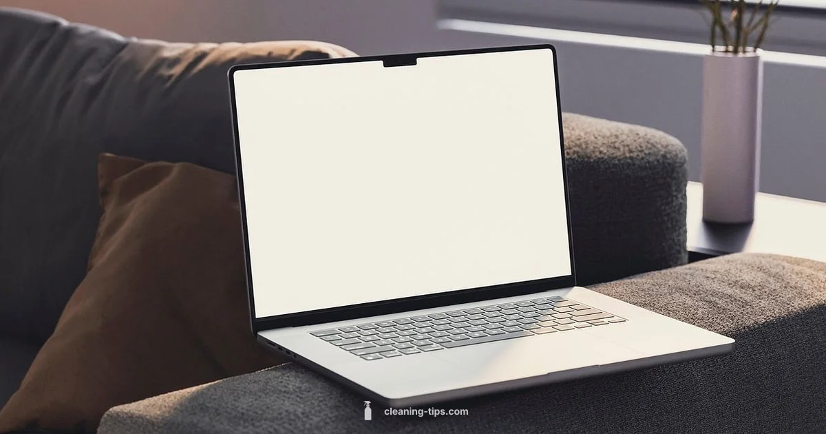 Check Cleaning Fees - Cleaning Tips