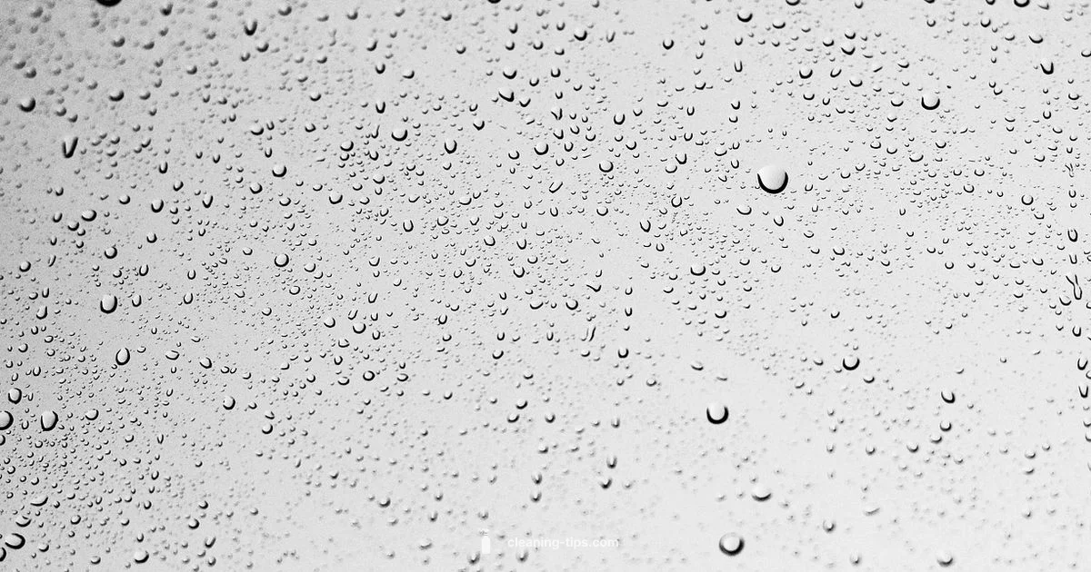 Clear Glass Surfaces - Cleaning Tips