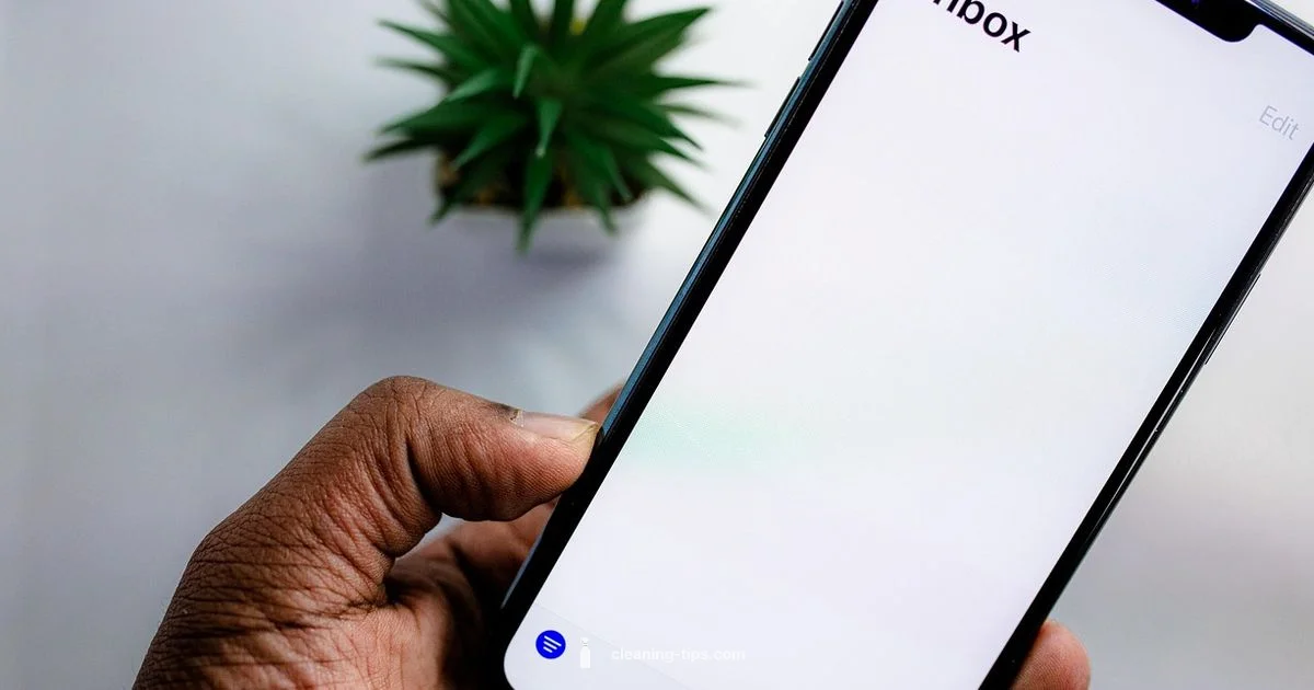 Clean Inbox Guide - Cleaning Tips