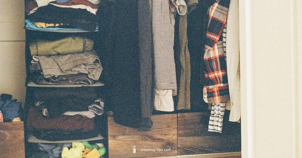 Closet Cleanout Guide - Cleaning Tips