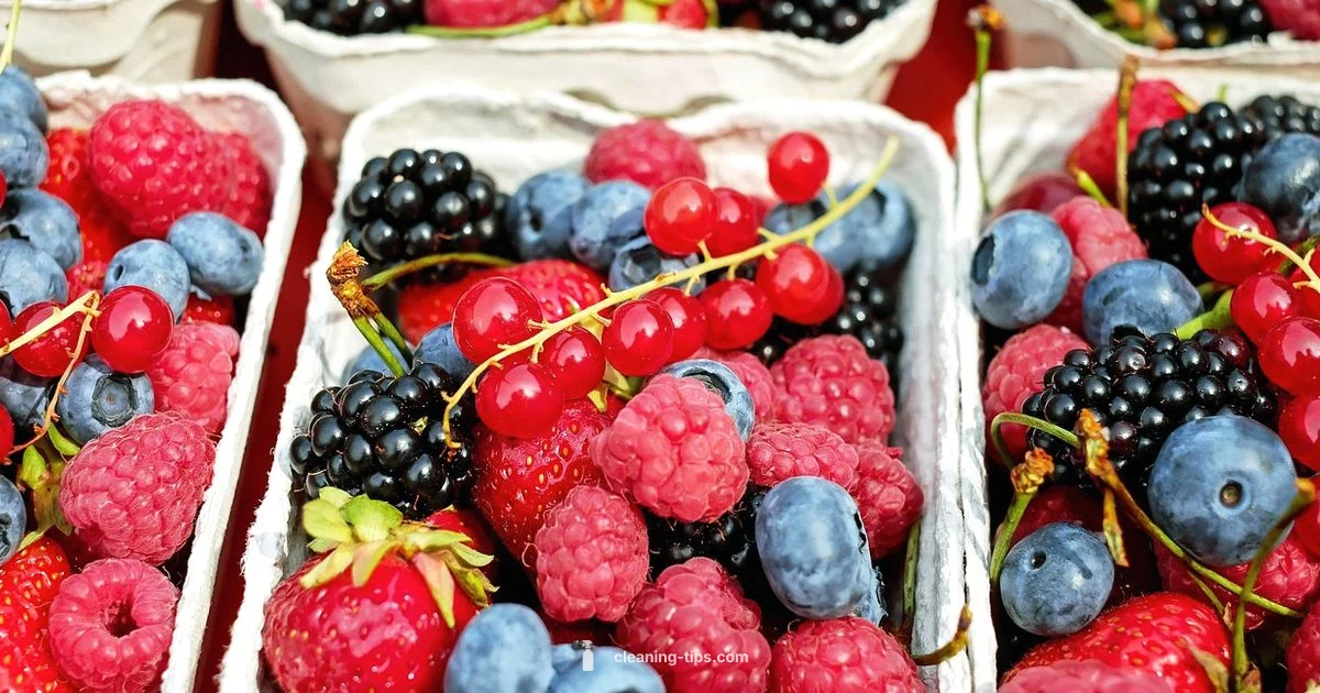 Clean Diet Basics - Cleaning Tips