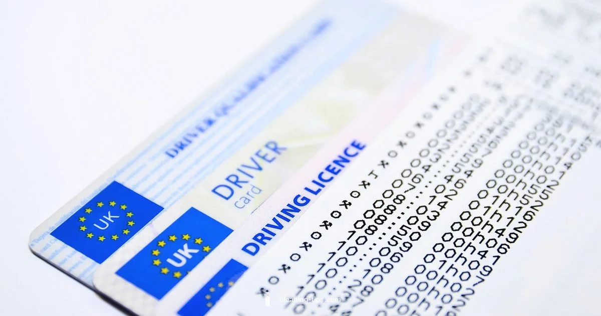 CDL Record Basics CDL Record Basics - Cleaning Tips