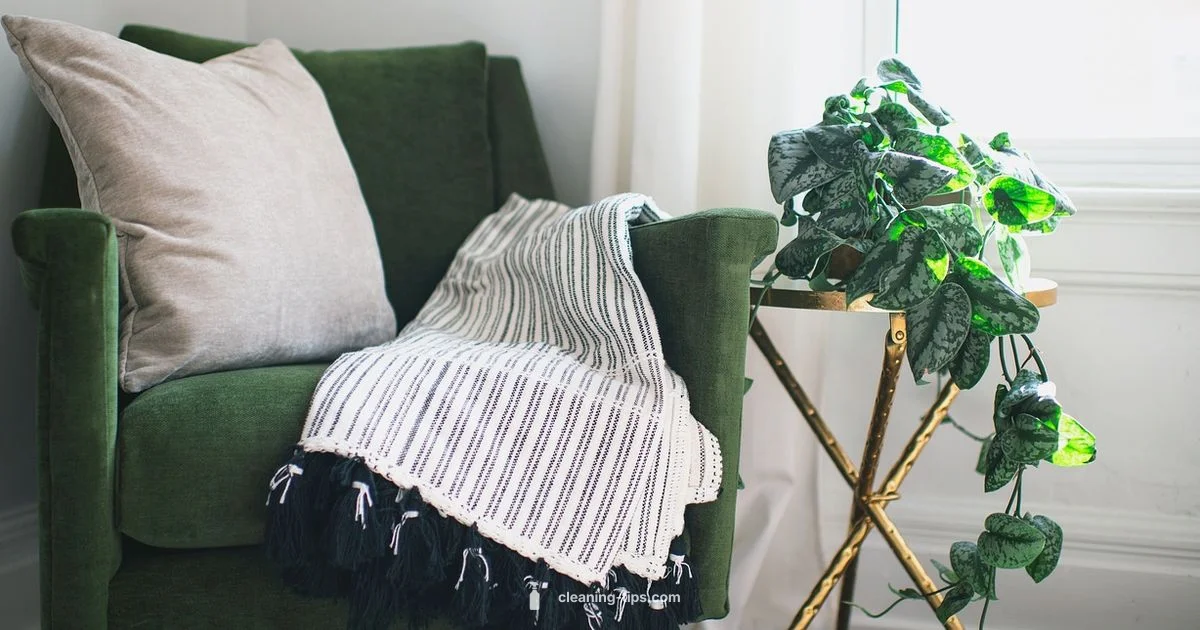 Calm Cleaning Journey - Cleaning Tips