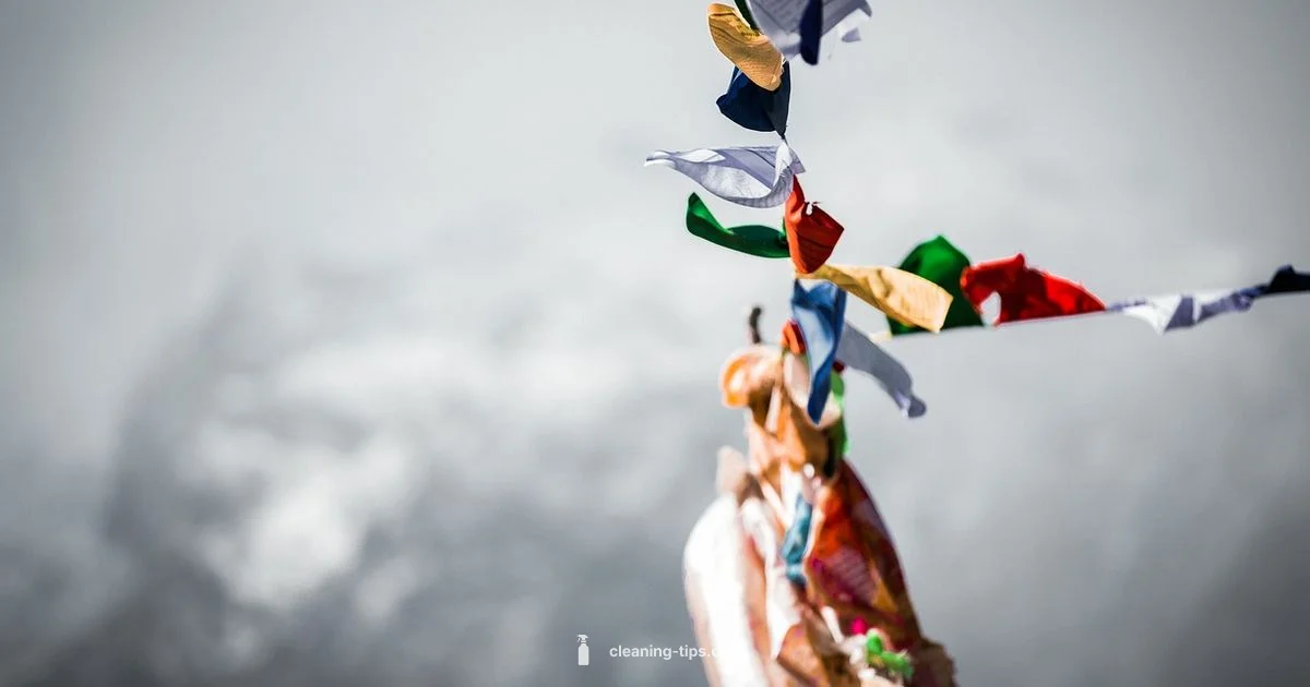 Dry Cleaning Guide - Cleaning Tips