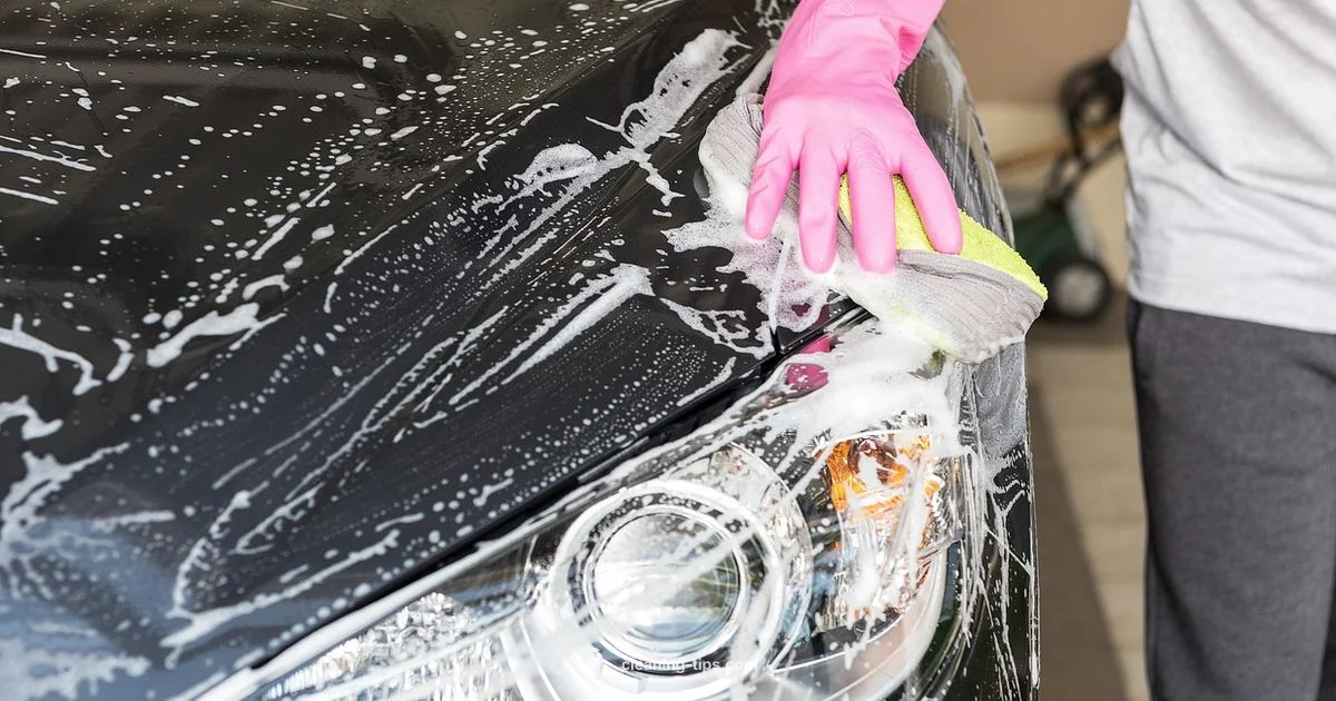 Freak Clean Car Wash - Cleaning Tips
