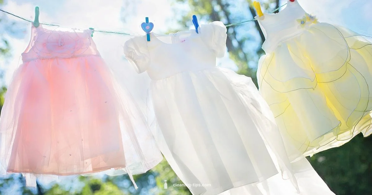 Fresh Shirt Care - Cleaning Tips