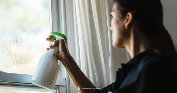 Clean Like a Pro - Cleaning Tips