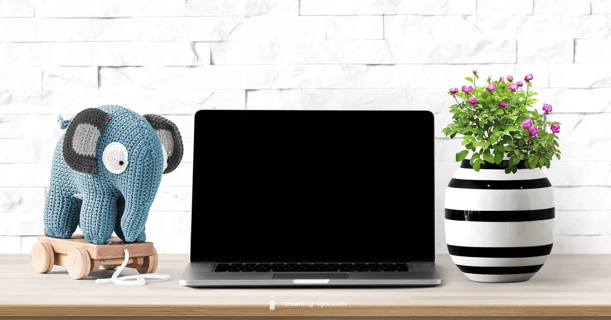 Safe Screen Cleaning Safe Screen Cleaning - Cleaning Tips