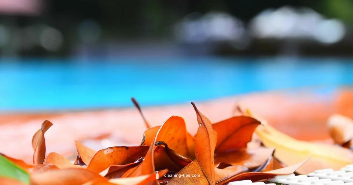 Clean Pool Filter - Cleaning Tips