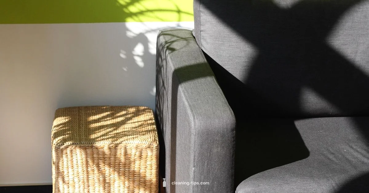 Cleaning Coaching - Cleaning Tips