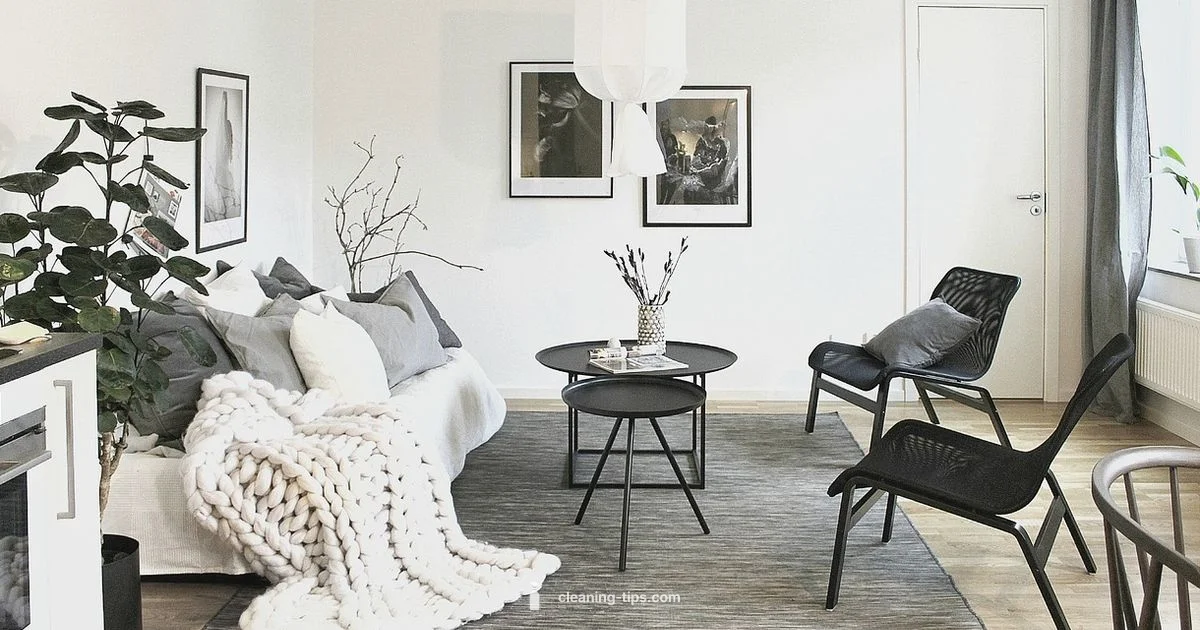 Move-Out Cleaning - Cleaning Tips