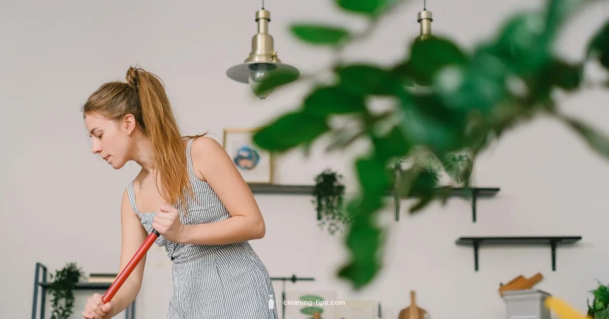 Clean Like a Pro - Cleaning Tips