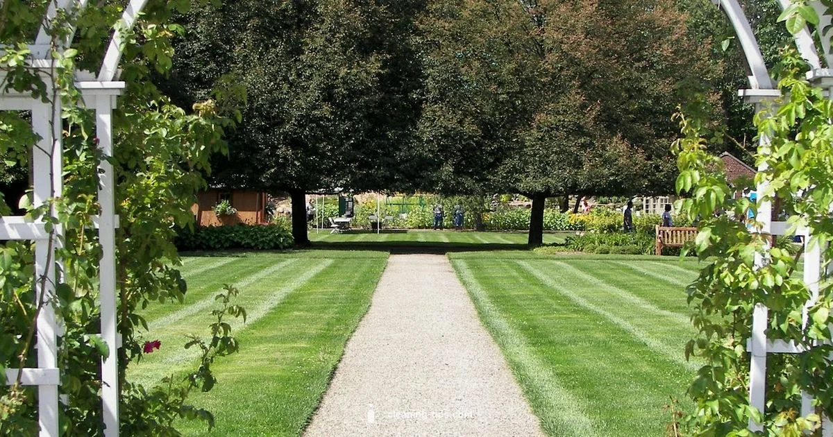 Flint Water 2025 - Cleaning Tips