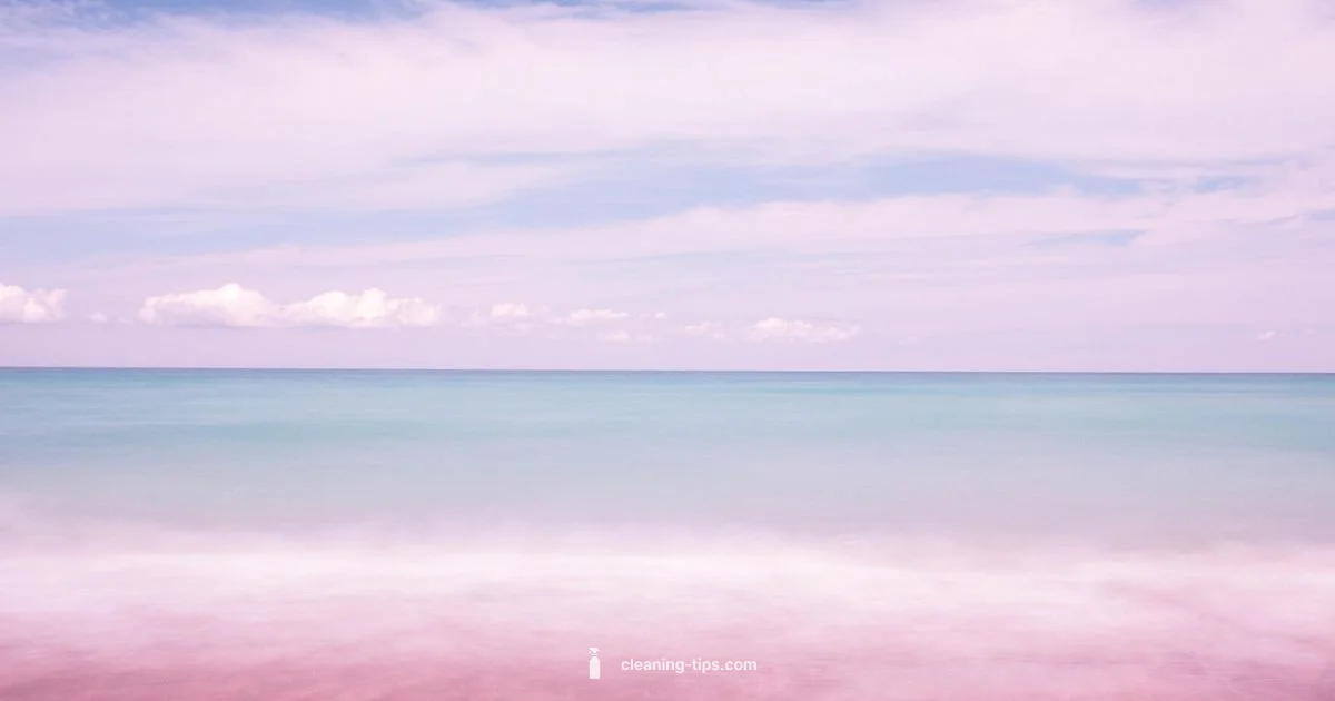 Lake Michigan Cleanliness - Cleaning Tips