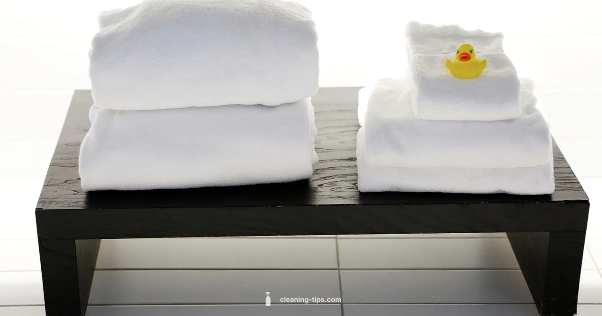 Bidet-Free Clean - Cleaning Tips