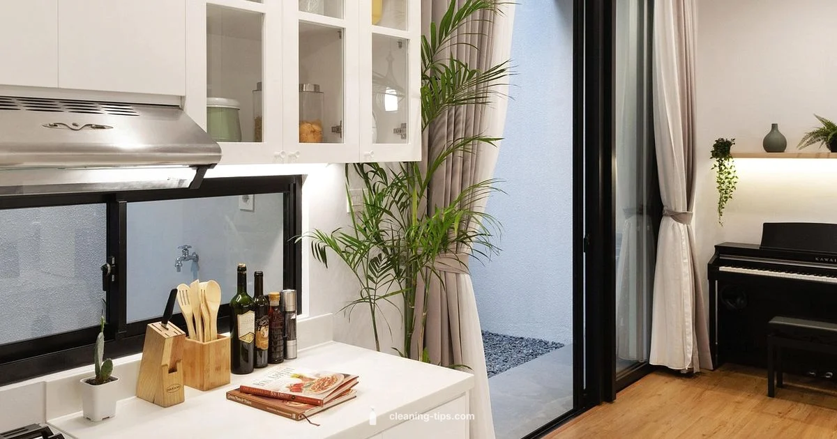 Cleaning Services Types - Cleaning Tips