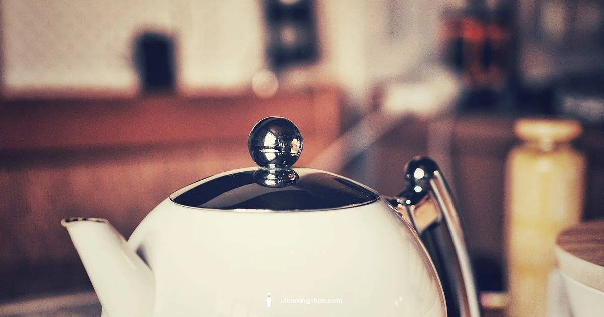 Vinegar Cleaning Guide - Cleaning Tips