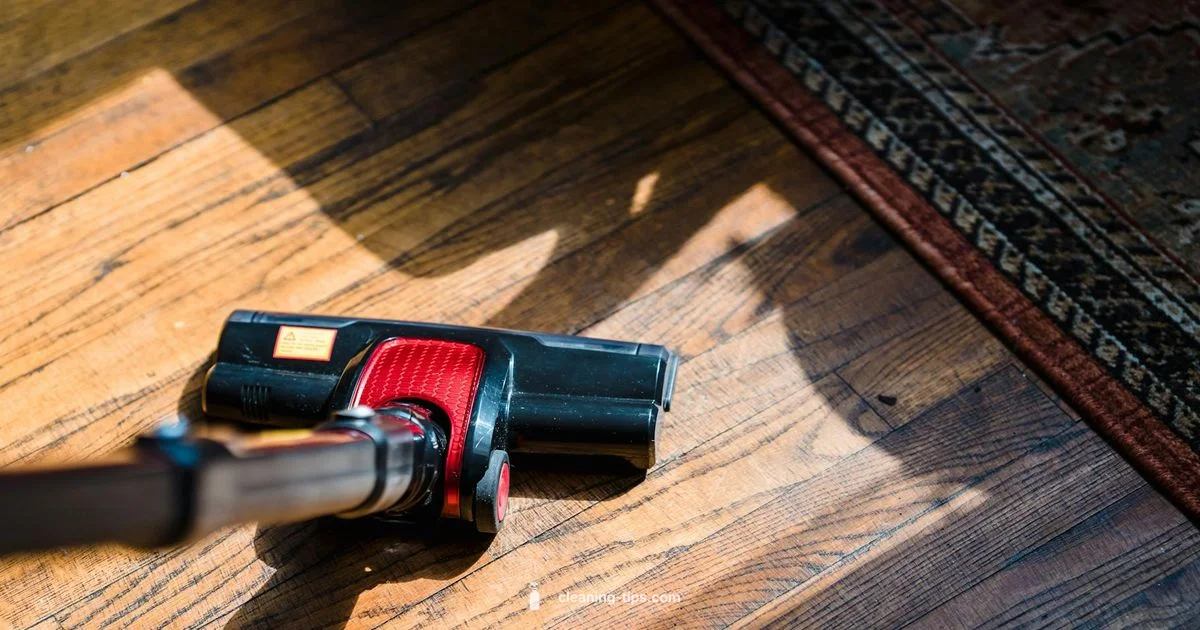 Shark Care Guide - Cleaning Tips