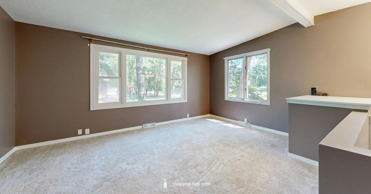 Baking Soda Carpet Refresh - Cleaning Tips