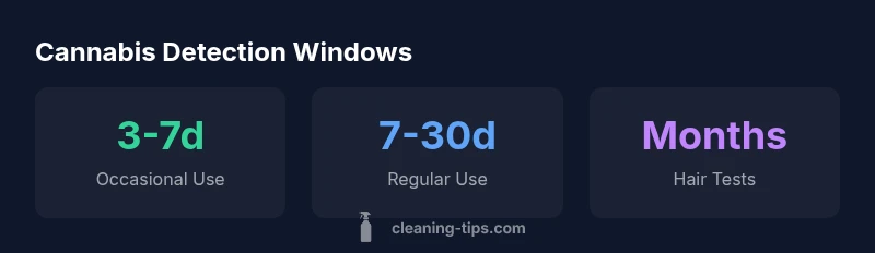 Cannabis detection windows infographic