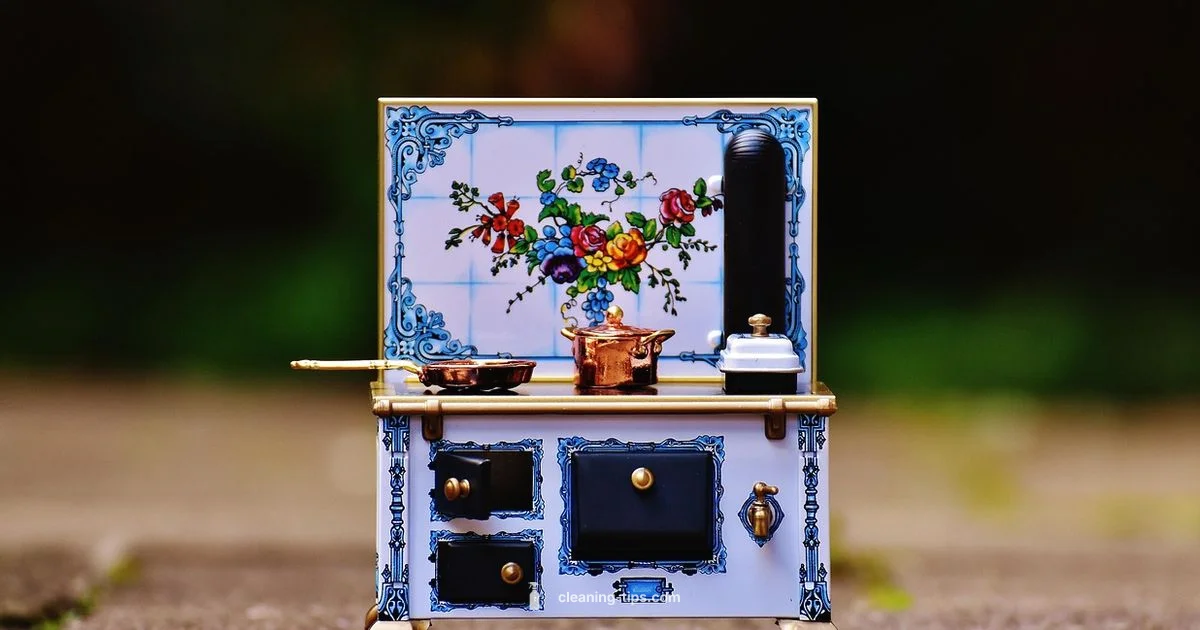 Oven Cleaning Basics - Cleaning Tips