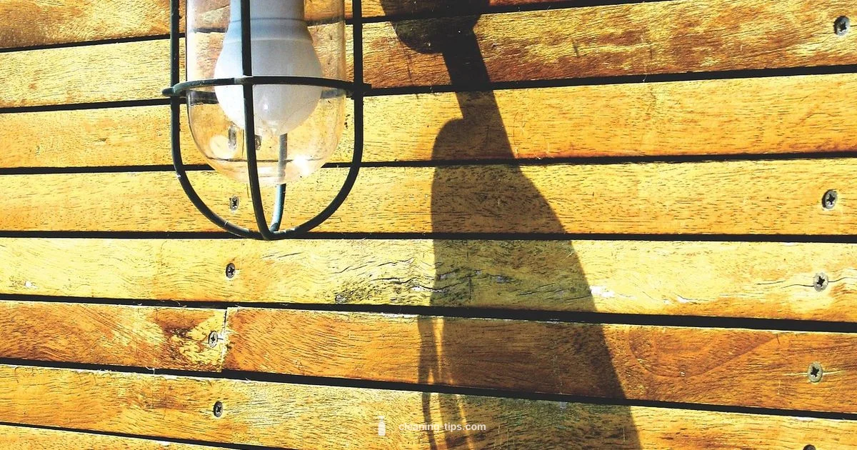 Clean Tech Essentials - Cleaning Tips