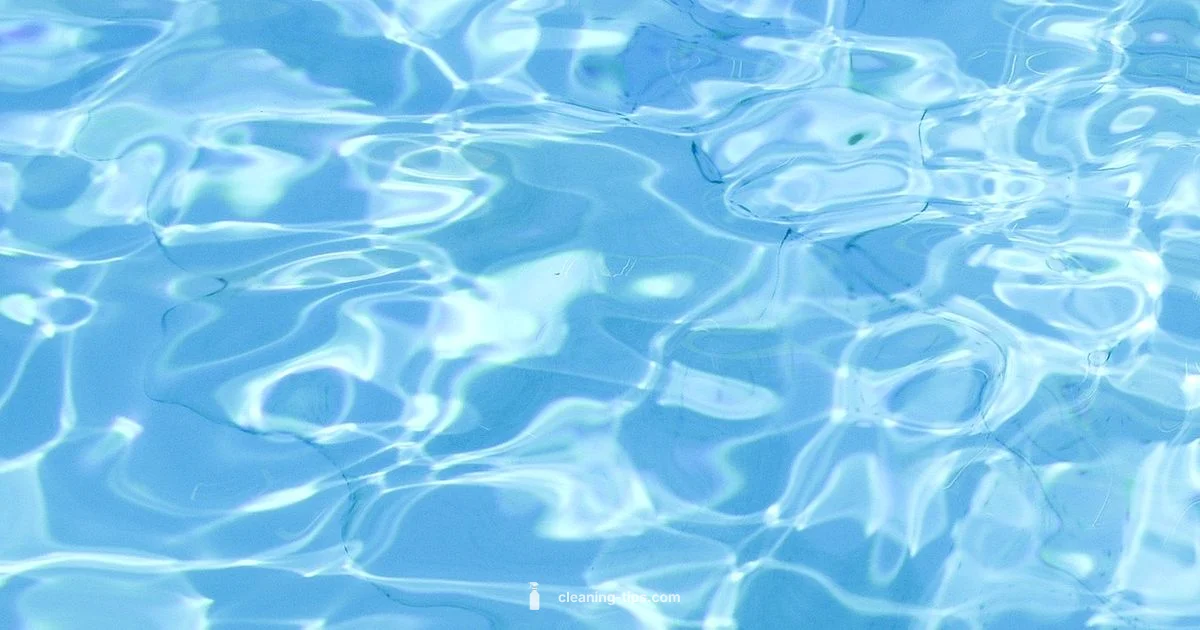 Clean Pool Vacuum Guide - Cleaning Tips