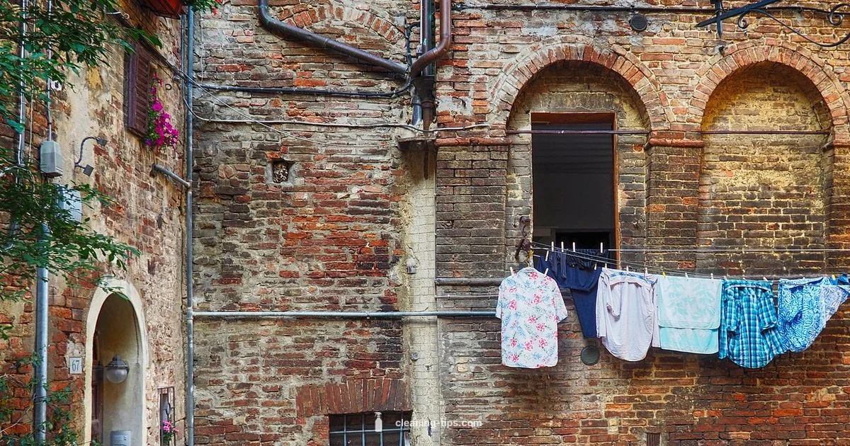 Timing Your Clean Up Cadence Timing Your Clean Up Cadence - Cleaning Tips