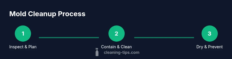 Infographic showing three-step mold cleanup process