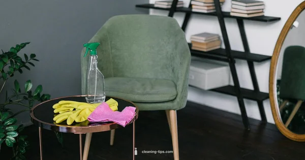 Clean Boss Guide - Cleaning Tips