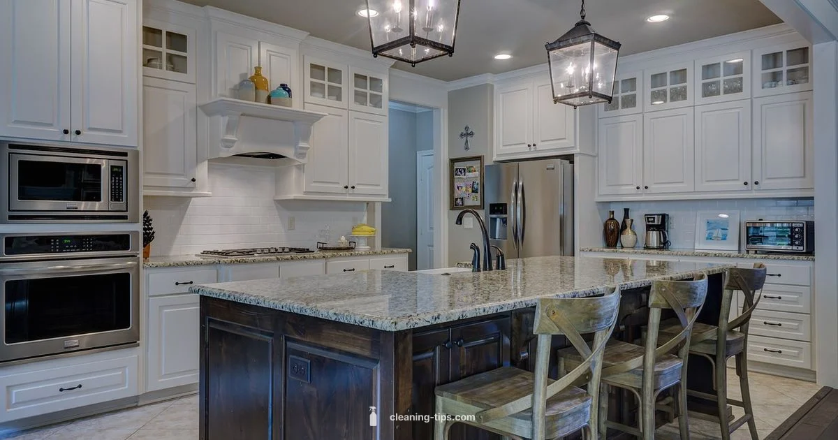 Cleaner vs Housekeeper - Cleaning Tips