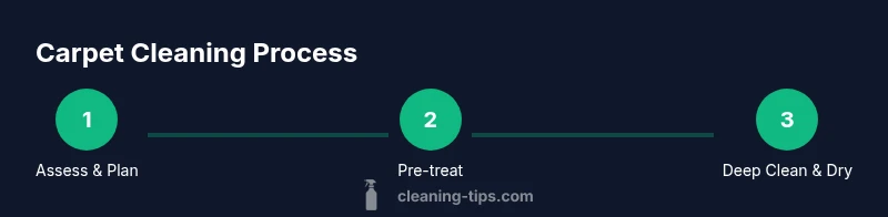 Tailwind-infographic showing a three-step carpet cleaning process for homes with dogs