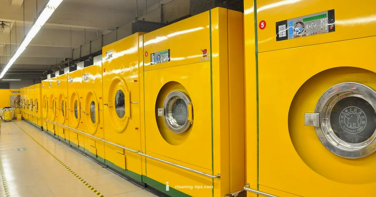 Washing Machine Care - Cleaning Tips